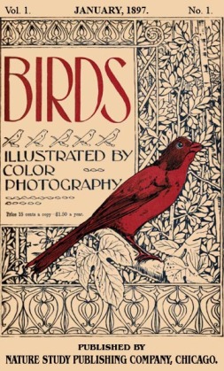 Birds Illustrated by Color Photograhy Vol 1 January 1897 No 1 - Cover