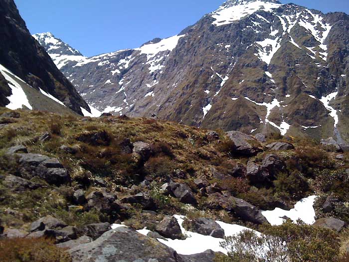 New Zealand Rockwren (Xenicus gilviventris) Habitat by Ian 3