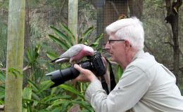 Time To Find and Watch Birds&nbsp;Again