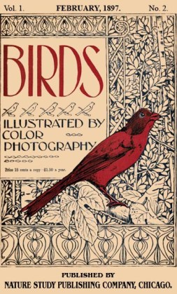 Birds Illustrated by Color Photograhy Vol 1 February 1897 No 2 - Cover