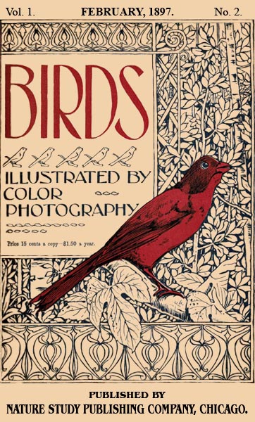 Birds Illustrated by Color Photograhy Vol 1 February 1897 No 2 - Cover