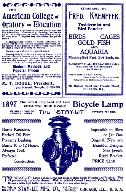 Birds Illustrated Ad - Feb