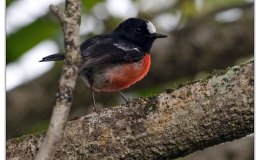 I.O.C. Version 5.4 Updated on&nbsp;Blog