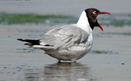 Lee’s Seven Word Sunday –&nbsp;3/26/17