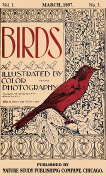 Birds Illustrated by Color Photograhy Vol 1 March 1897 No 3 - Cover
