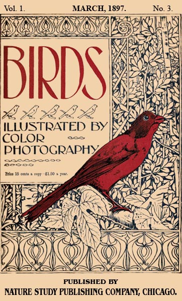 Birds Illustrated by Color Photograhy Vol 1 March 1897 No 3 - Cover