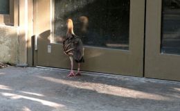 Lee’s Six Word Saturday –&nbsp;8/6/16