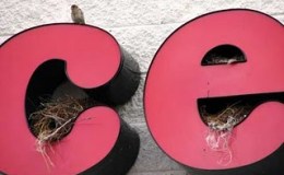 Lee’s Seven-Word Sunday – 1/24/16&nbsp;(Repost)