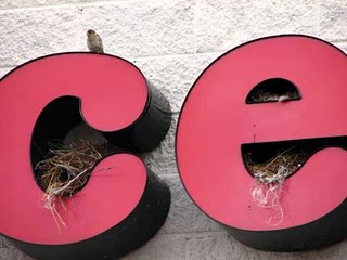 House Sparrow nest in Sign