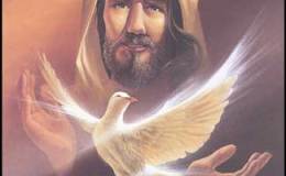 Jesus and Birds –&nbsp;Introduction