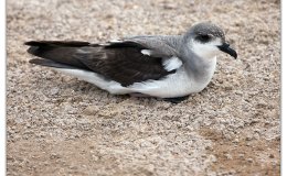 Lee’s Seven Word Sunday –&nbsp;4/30/17