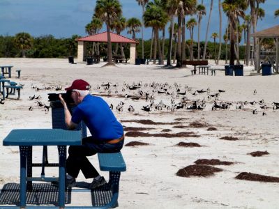 Dan and Black Skimmers