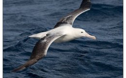 Lee’s Five Word Friday –&nbsp;2/5/16