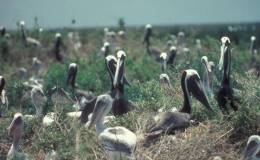 Lee’s One Word Monday –&nbsp;4/25/16