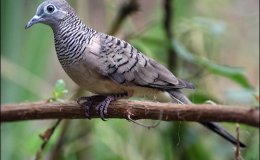 Lee’s One Word Monday –&nbsp;2/13/17