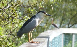 Just Some Reviews of Several Previous&nbsp;Posts