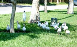 Lee’s Seven Word Sunday –&nbsp;9/18/16