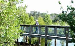 Birdwatching at Lake Morton and S. Lake&nbsp;Howard