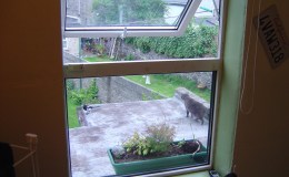 I Just Happened ~ by Dottie&nbsp;Malcolm