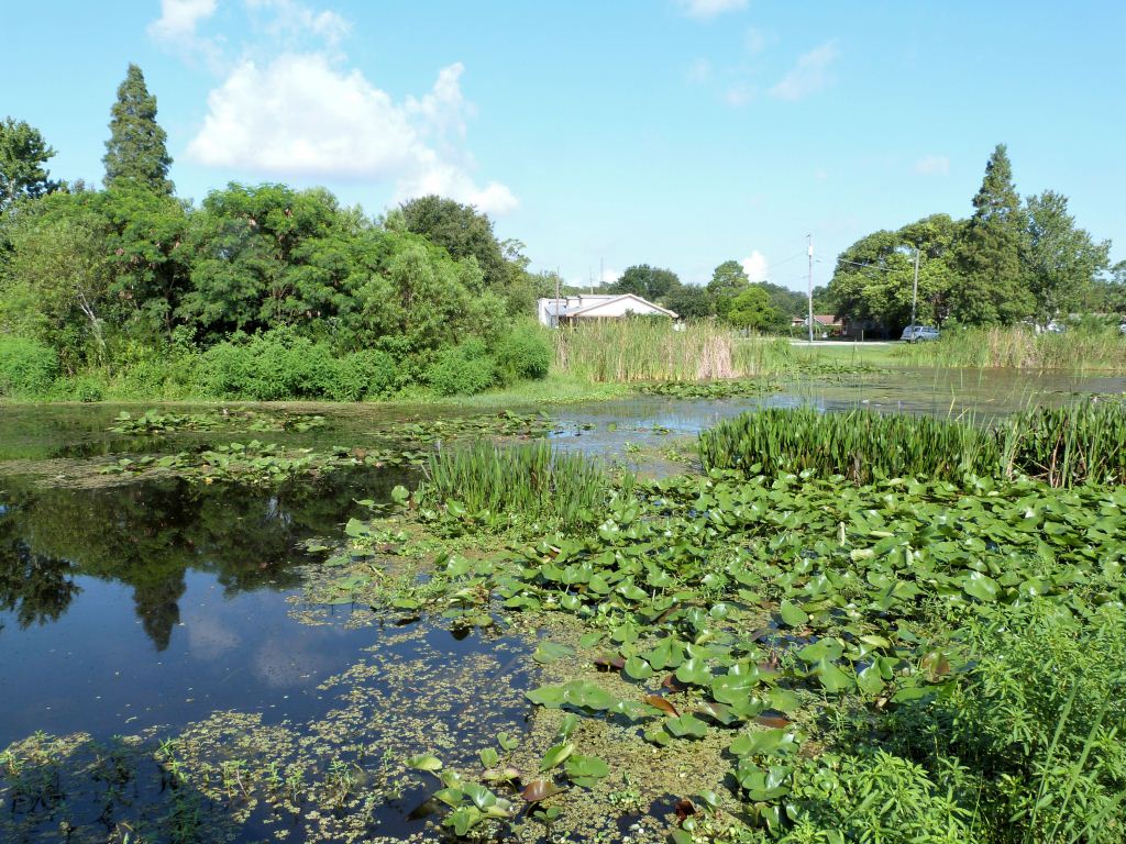 South Lake Howard Lake Side