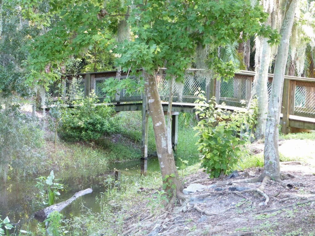 South Lake Howard Lake Side