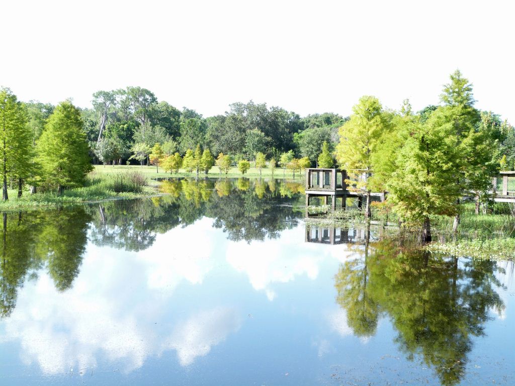South Lake Howard Nature Park-Pond side