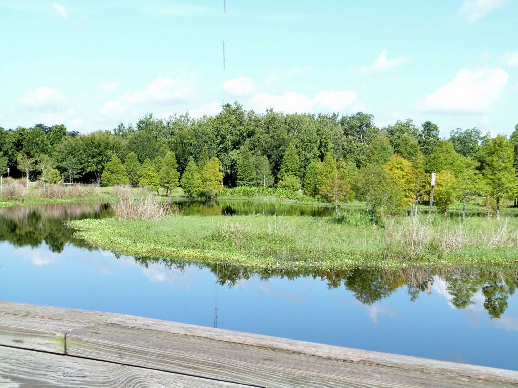 South Lake Howard Nature Park-Pond side