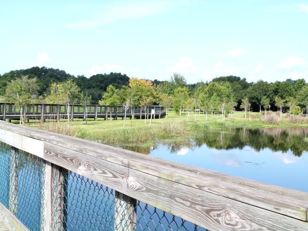 South Lake Howard Nature Park-Pond side