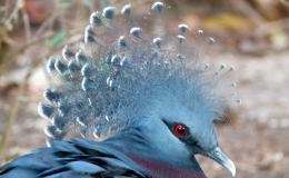 Lee’s One Word Monday –&nbsp;10/24/16