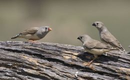 Lee’s Five Word Friday –&nbsp;7/29/16