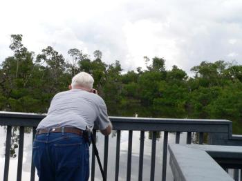 Enlarge - Count at least 20 Spoonbills