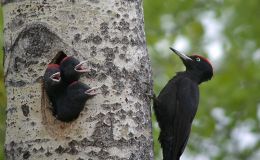 Sunday Inspiration – Mother’s&nbsp;Day