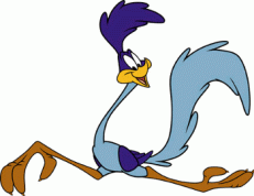Roadrunner - Looney Tunes ”©WikiC