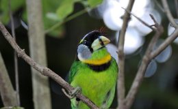 Lee’s Two Word Tuesday –&nbsp;11/15/16