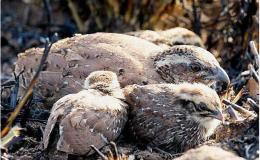 Lee’s One Word Monday –&nbsp;3/13/17