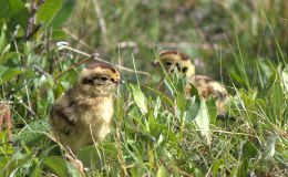 Lee’s Two Word Tuesday –&nbsp;2/21/17