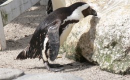 Lee’s Two Word Tuesday –&nbsp;3/28/17