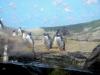 Penguins at Riverbanks Zoo by Lee)