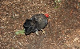 Lee’s Six Word Saturday –&nbsp;1/7/17