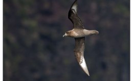 Lee’s One Word Monday –&nbsp;5/1/17