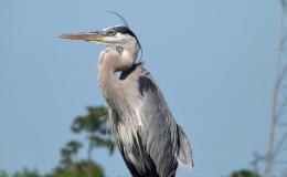 Lee’s Five Word Friday –&nbsp;7/21/17