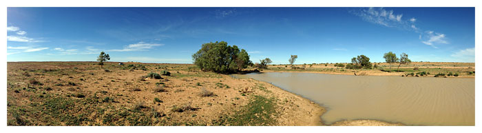 Birdsville Track by Ian