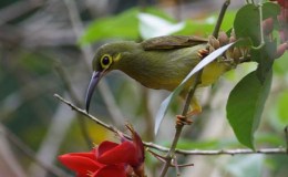 Lee’s One Word Monday –&nbsp;7/10/17