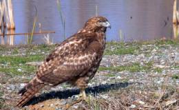 I’m Little but…..