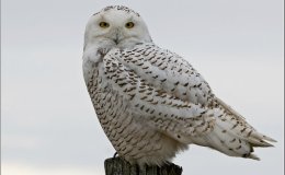 One Word Monday –&nbsp;6/6/16