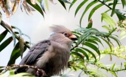 IOC Version 9.2- Indexes Up To Date – Part&nbsp;IV