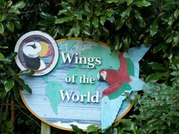 Wings of the World Aviary - Cincinnati Zoo 9-5-13