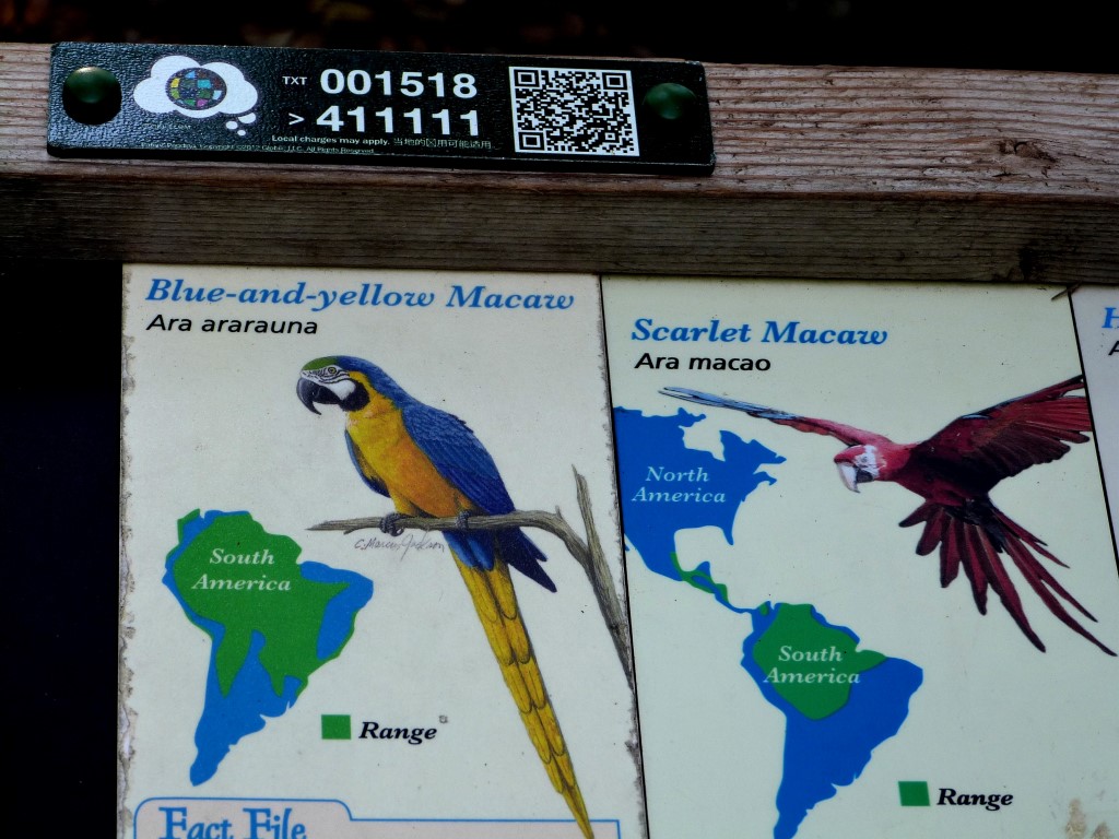 Blue-and-yellow Macaw and Scarlet Macaw Sign by Lee Cincinnati Zoo 9-5-13
