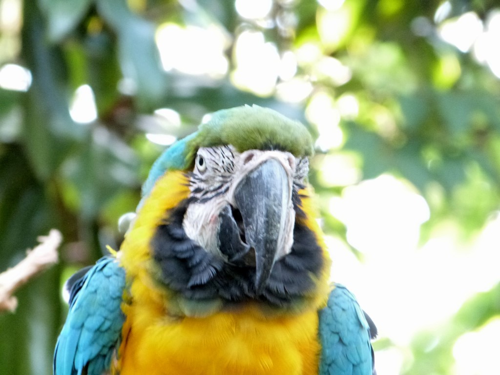 Cincinnati Zoo 9-5-13