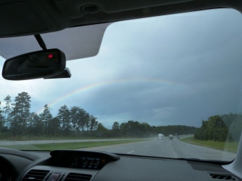 Carolina rainbow